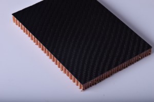 Karbon fiber petek levha